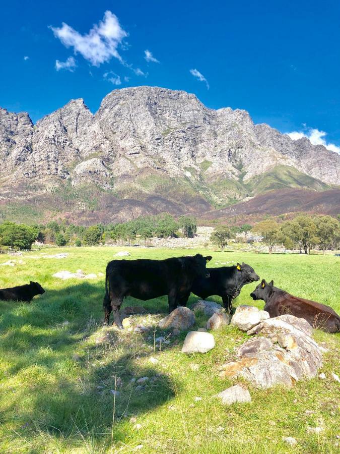 The Barn In Franschoek Hostal Franschhoek Exterior foto
